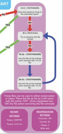 Toothsaver File with Model Tooth (Calcified & Curved Canals)