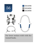 Rubber Dam Clamp no. 56 Glossy